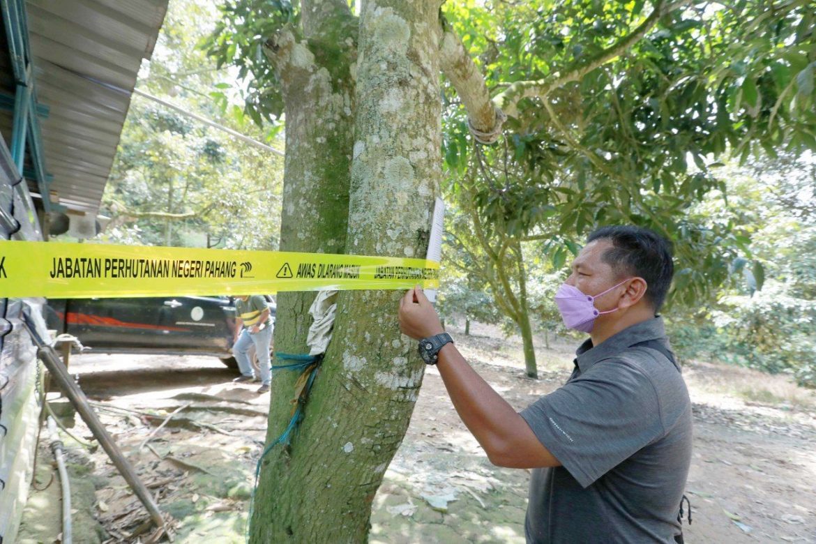 JPNP perlu terus banteras aktiviti pencerobohan hutan simpan