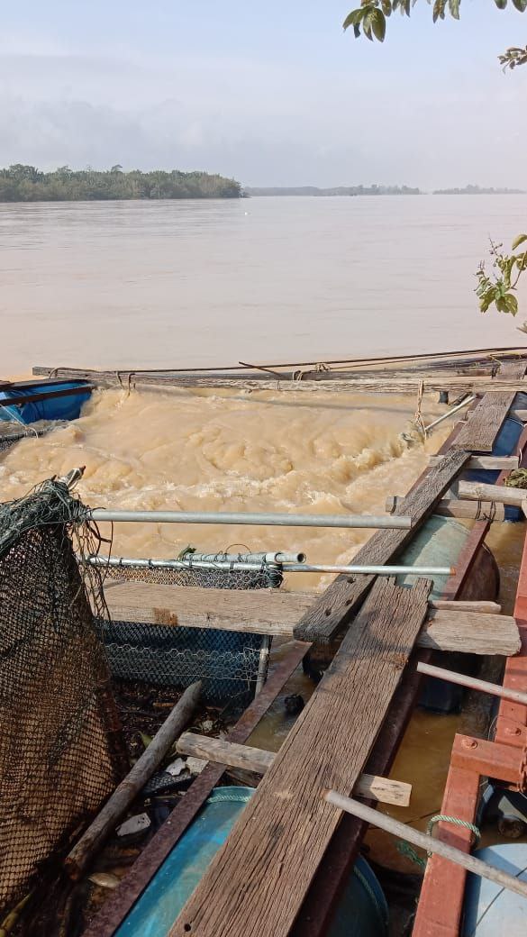 Penternak ikan rugi lebih RM1.4 juta kerana banjir