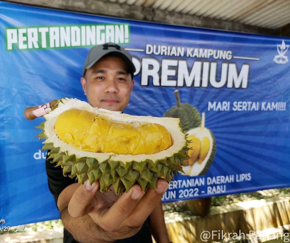 Durian kampung berkualiti dicari