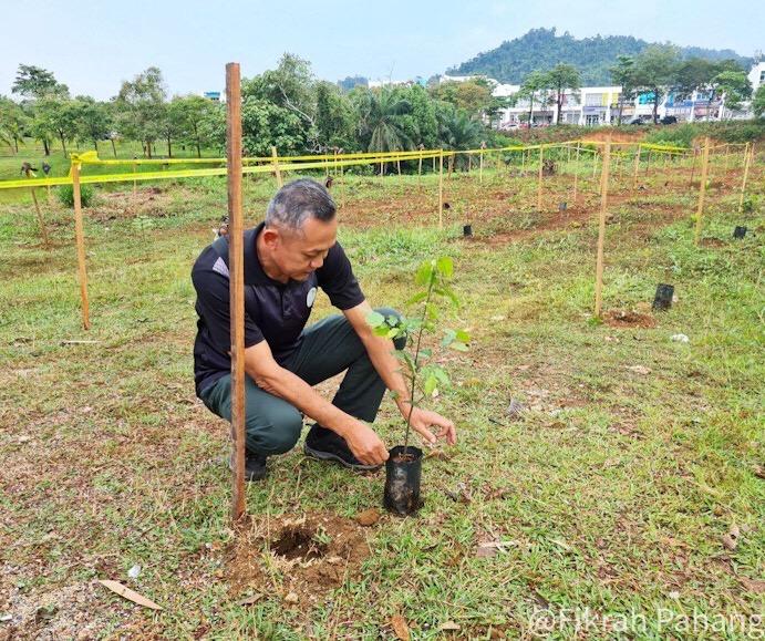400 pokok untuk Pahang Pride Kid 