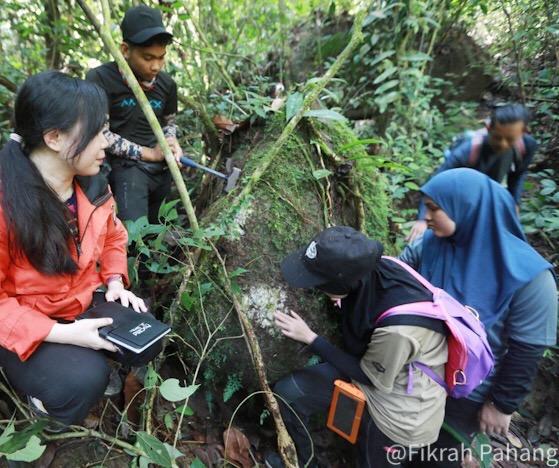 30 penyelidik kaji kepelbagaian biologi hutan di Ulu Cheka